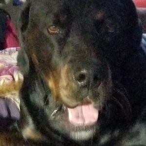 Meet your Posher, Marion